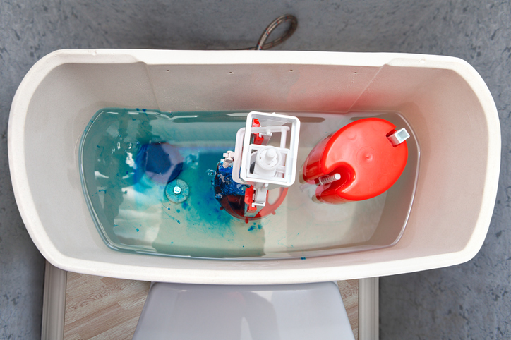  Kokulu banyo: Tuvalete hijyenik taşın doğru şekilde nasıl yerleştirileceğini öğrenin