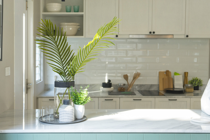  Daha yeşil bir ev - mutfak için hangi bitkilerin ideal olduğunu öğrenin
