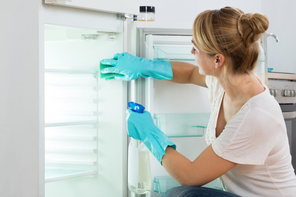  Як почистити гуму для холодильника? Дивіться поради та покінчіть із брудом, цвіллю та іншими забрудненнями