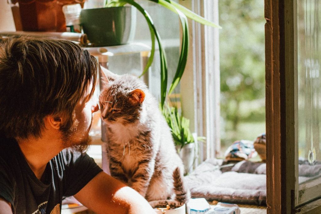  Animaux de compagnie à la maison : 5 conseils d'un vétérinaire pour bien vivre avec des animaux de compagnie
