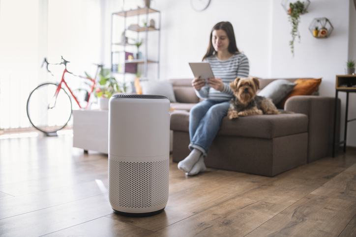  Прочистувачи на воздух: за што служат и како да изберете еден за вашиот дом