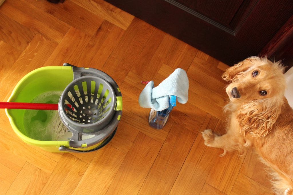  Sú čistiace prostriedky vhodné pre psov bezpečné?