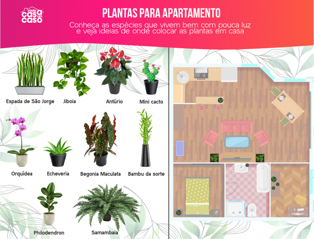  아파트 식물: 집에 더 많은 녹색을 가져다주는 18종