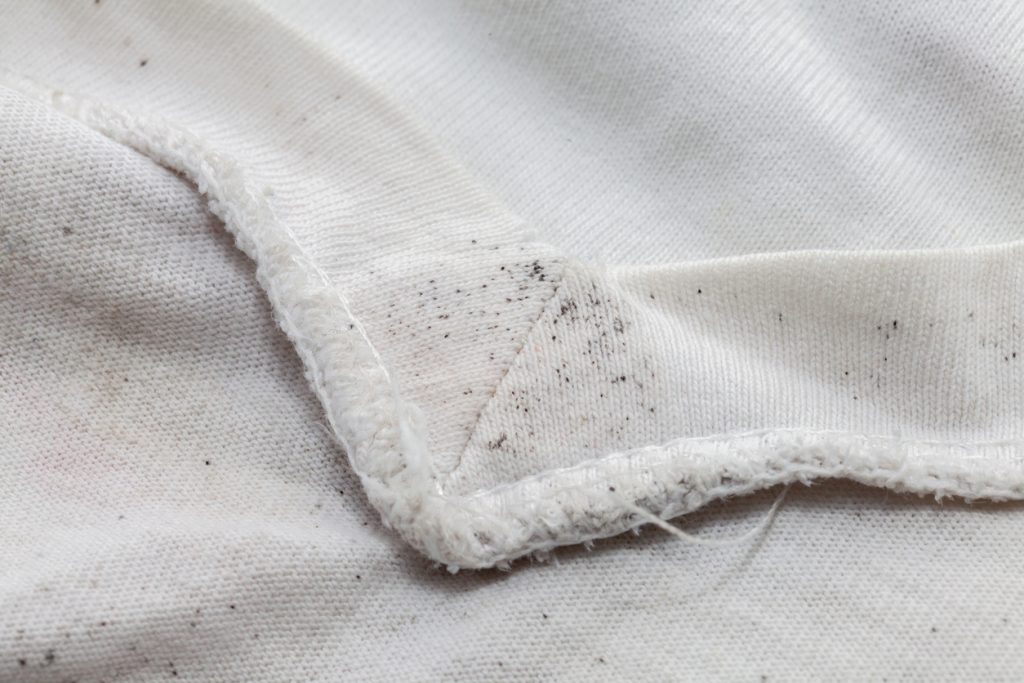  Cum să îndepărtezi mucegaiul de pe haine și să previi revenirea lui