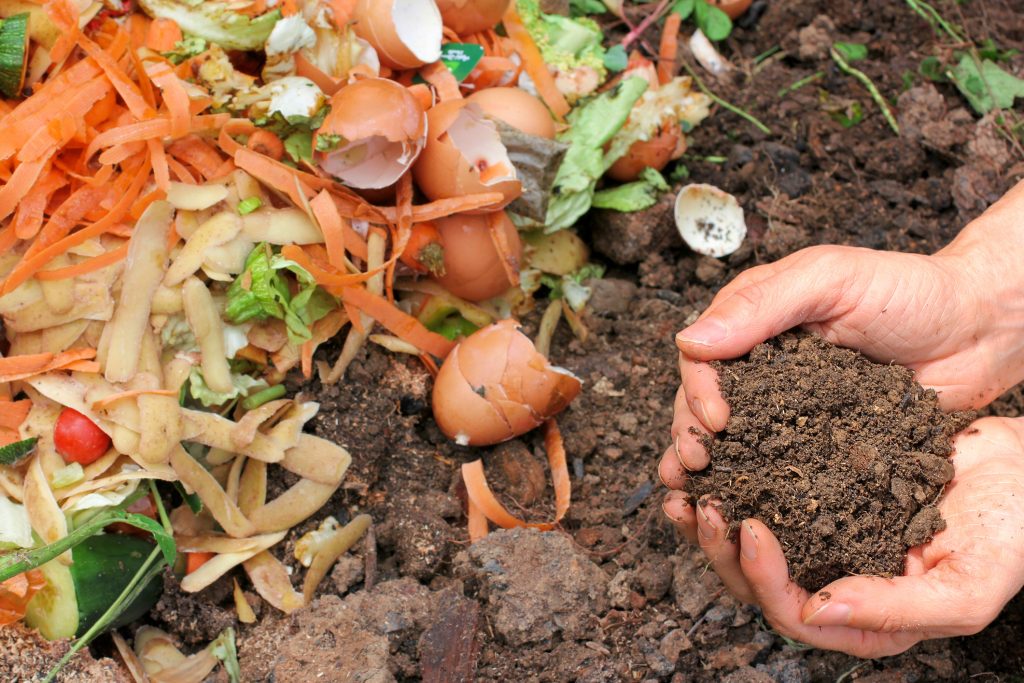 Sužinokite, kaip tręšti dirvožemį ir suteikti savo namams daugiau žalumos